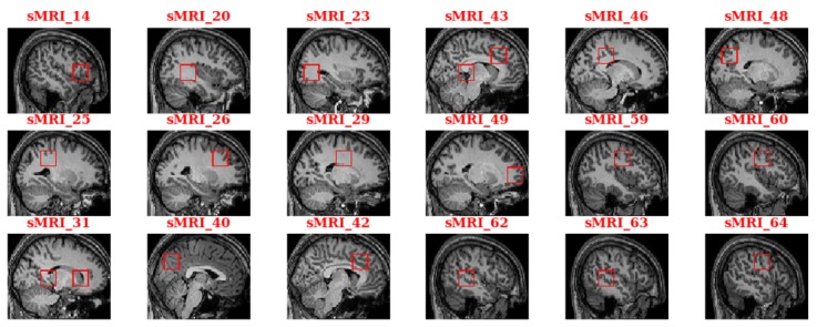 Figure 7