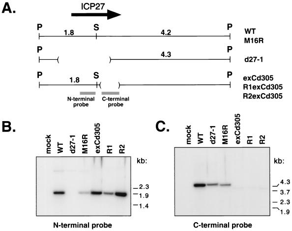 FIG. 8
