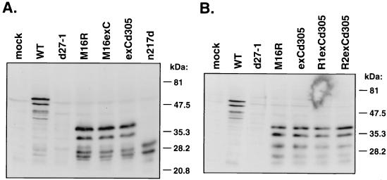 FIG. 5