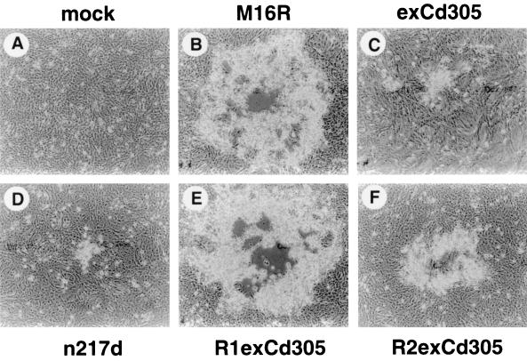FIG. 6