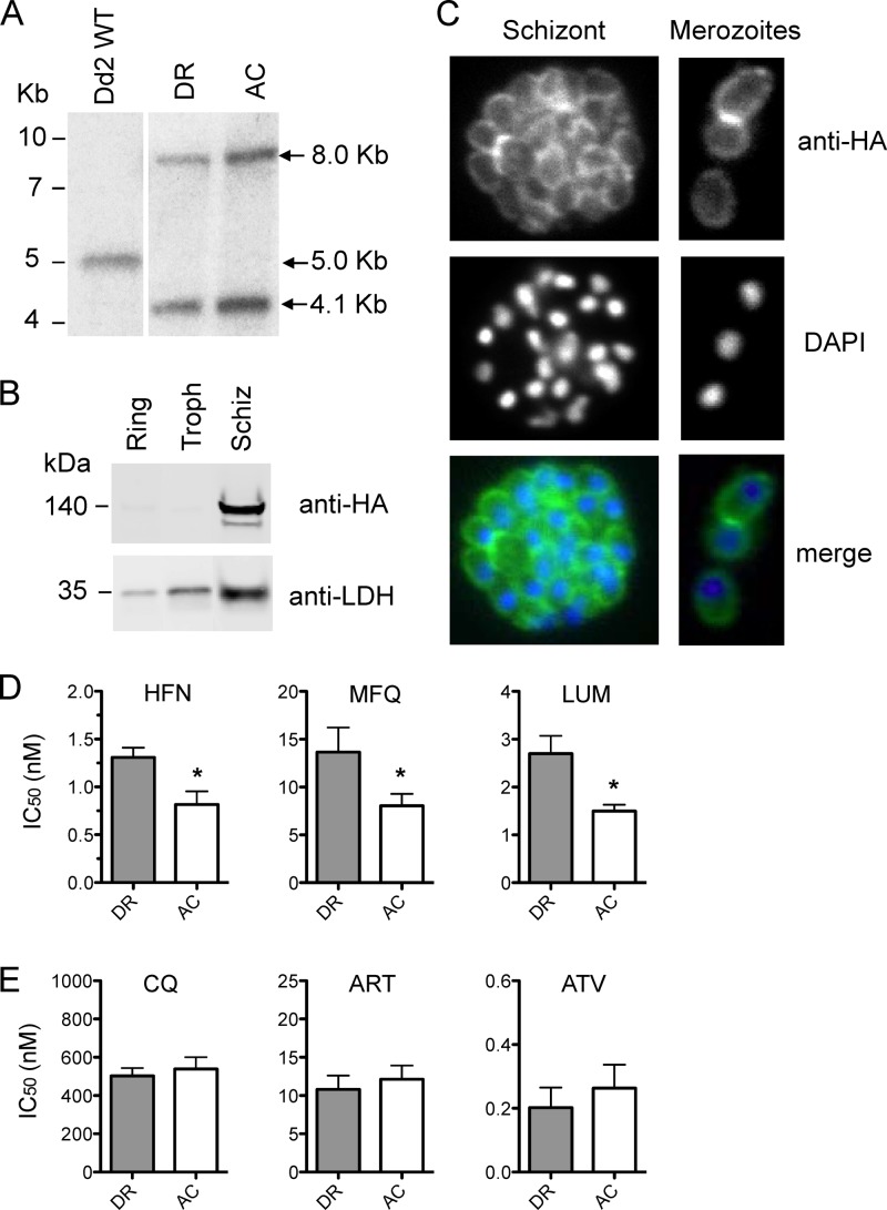 Fig 3