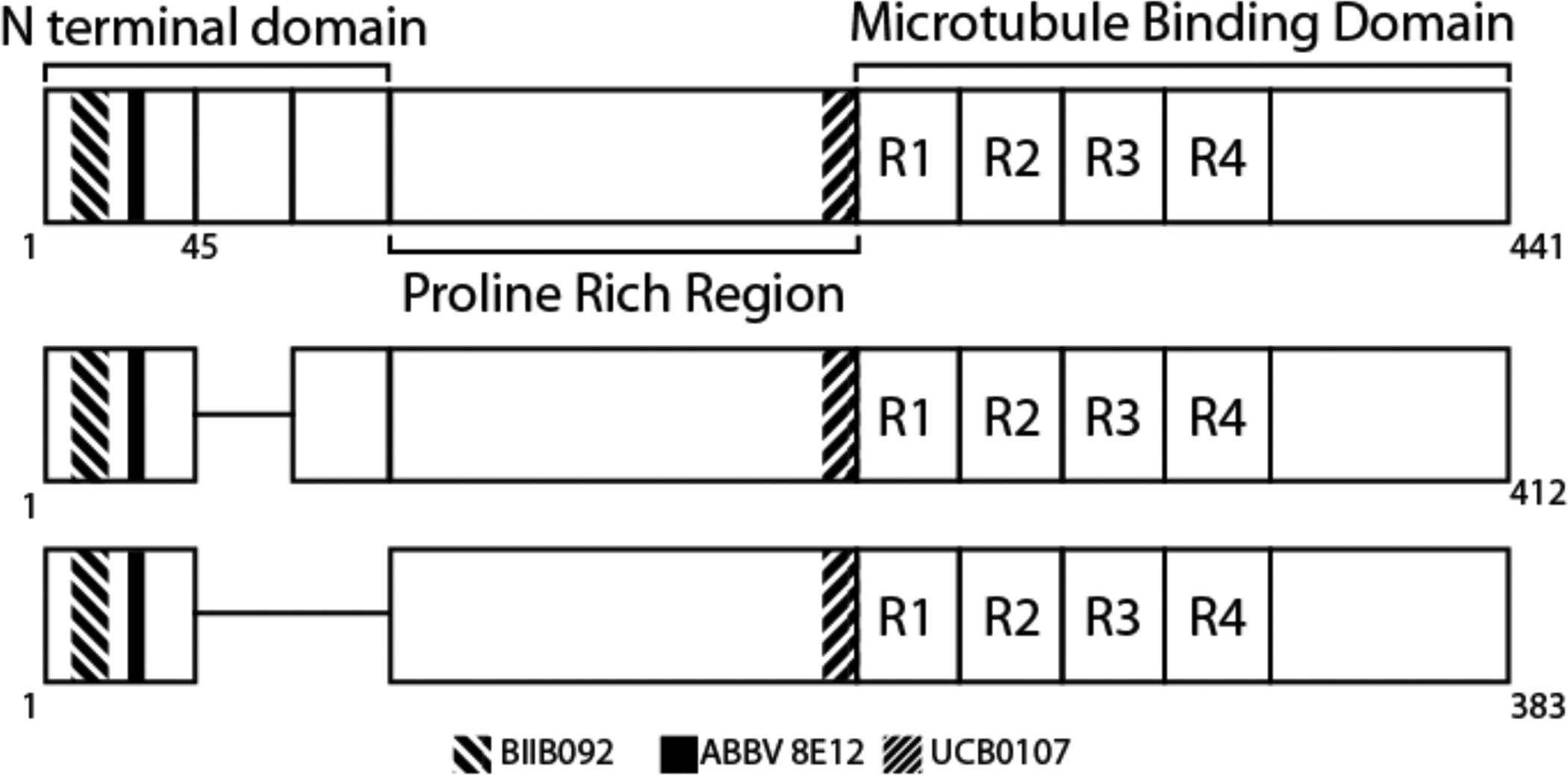 Figure 1: