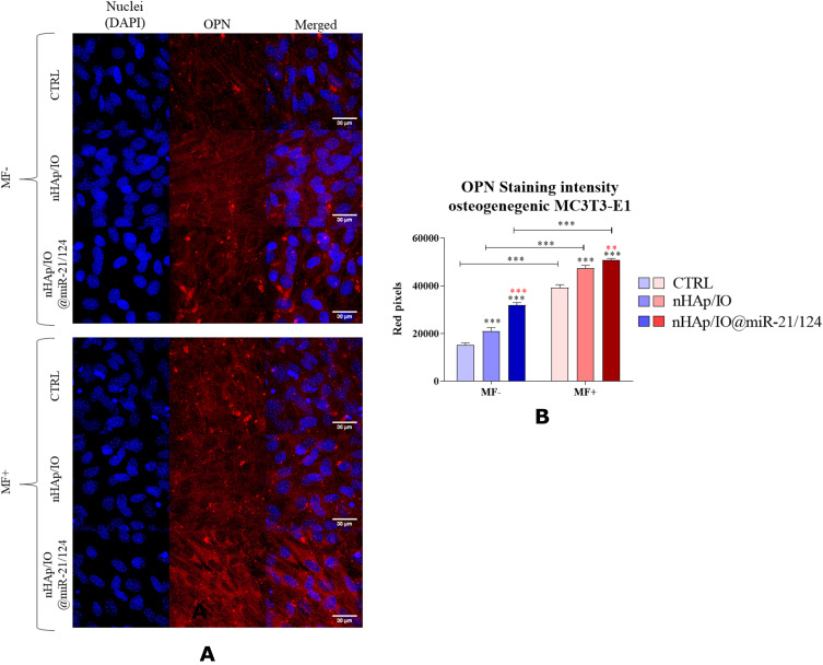 Figure 17