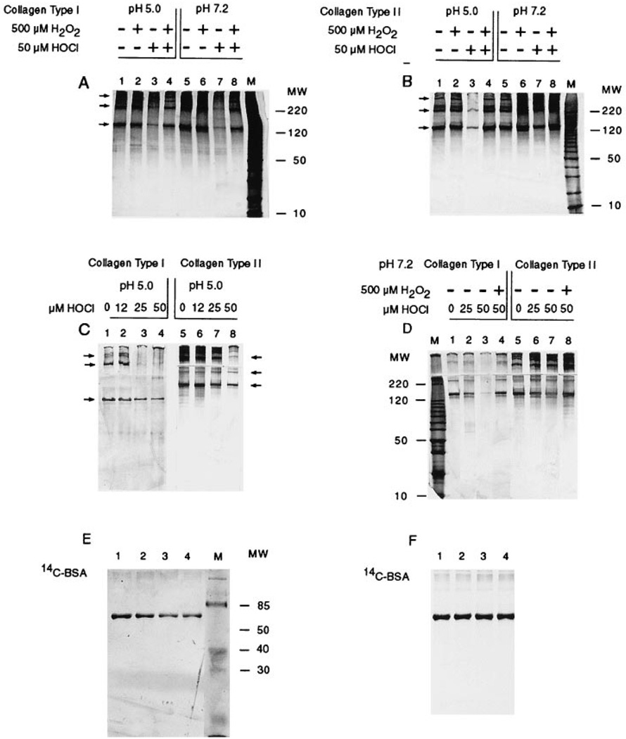 FIG. 8