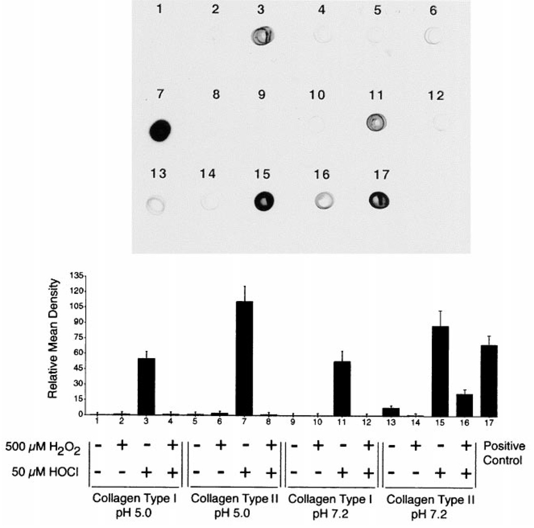 FIG. 7