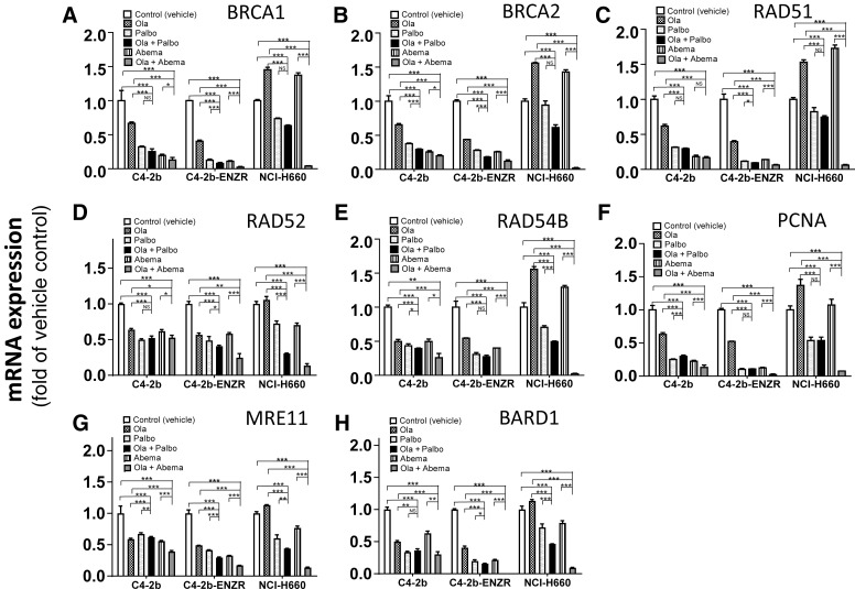 Figure 4. PARP inhibitor + CDK4/6 inhibitor combination treatment leads to downregulation of E2F1 target genes involved in DDR signaling, DNA damage repair, and DNA replication in prostate cancer cells. A–H, qRT-PCR analysis to determine expression of an array list of genes that are involved in DDR signaling and/or DNA damage repair and/or DNA replication for C4–2b, C4–2b-ENZR and NCI-H660 prostate cancer cells treated with olaparib, palbociclib, abemaciclib, or combination olaparib + palbociclib or olaparib + abemaciclib. The indicated mRNA expressions were plotted and are shown as the folds of their expressions in controls (vehicle treated) for each prostate cancer model, respectively. For statistical analysis, data from treatment replicates were pooled. T tests were used to determine statistical significance of the differences as indicated: ns, not significant; *, P < 0.05, **, P < 0.01, and ***, P < 0.001.