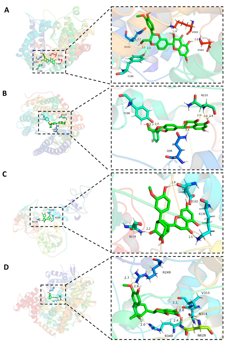 Figure 7