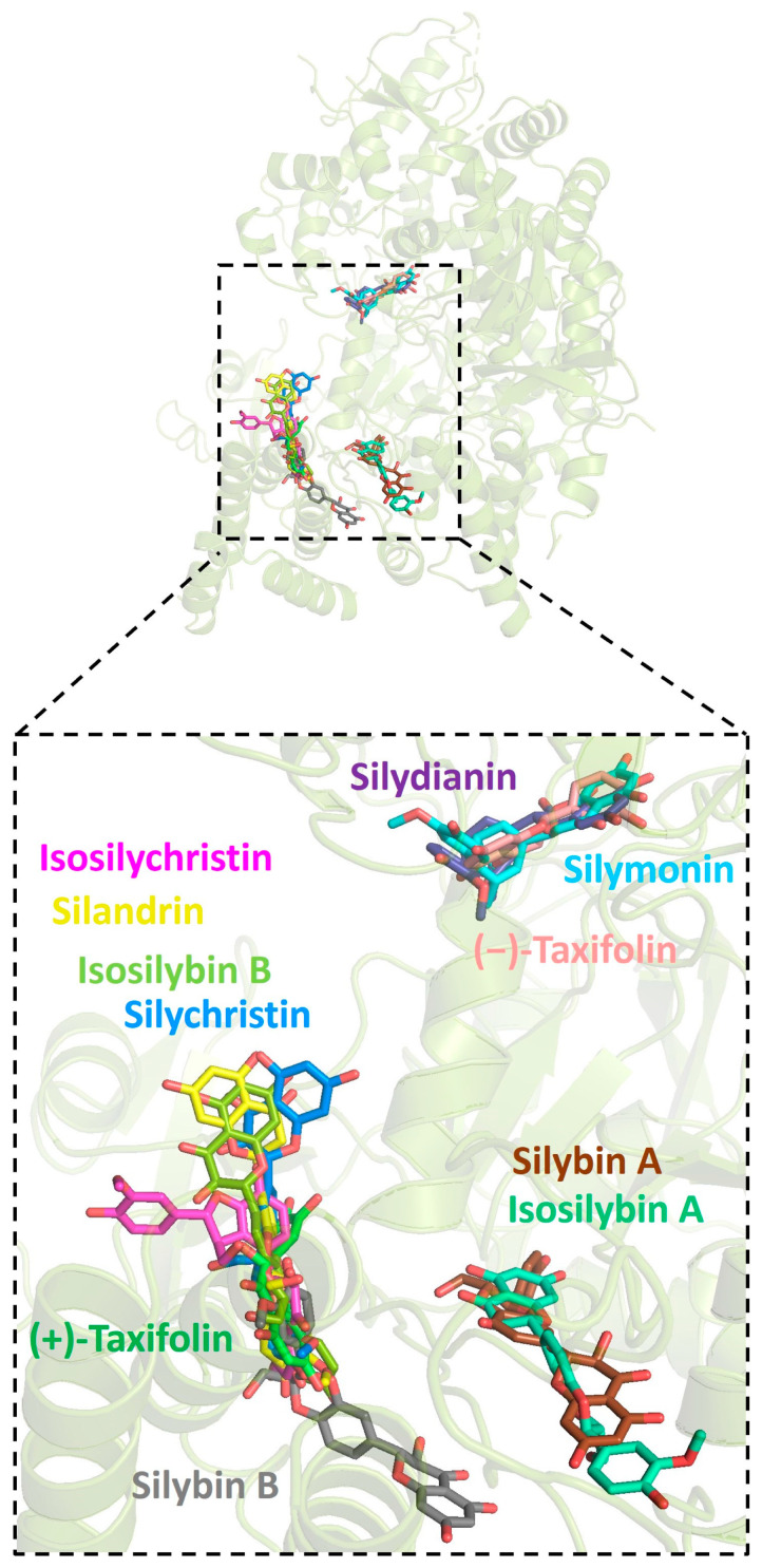 Figure 6