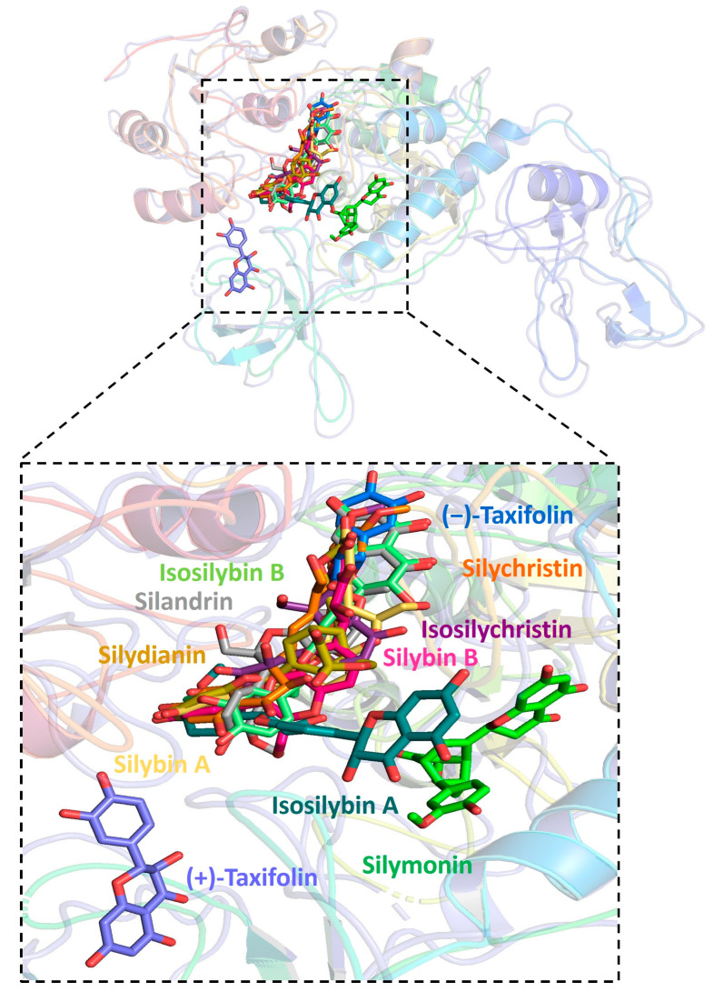 Figure 4