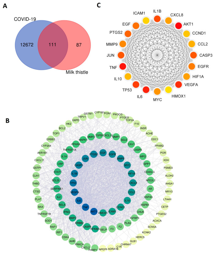 Figure 10