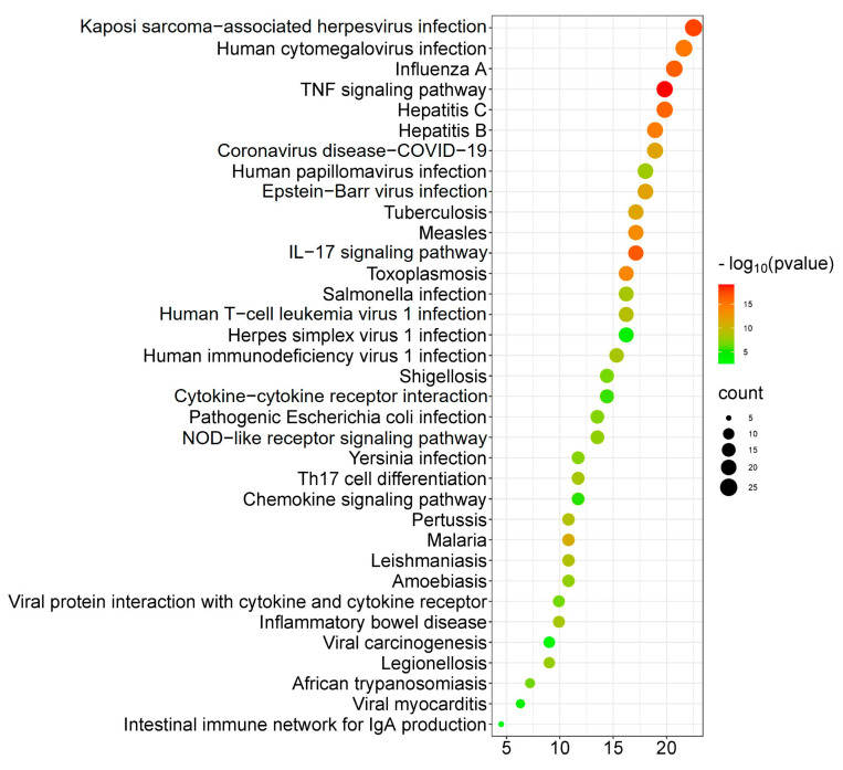 Figure 11