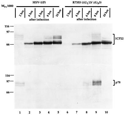 FIG. 7