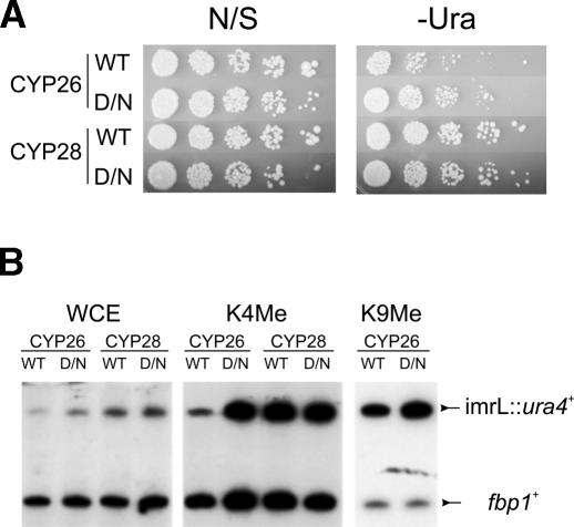 Figure 6.