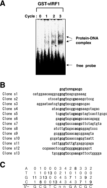 FIG. 1.