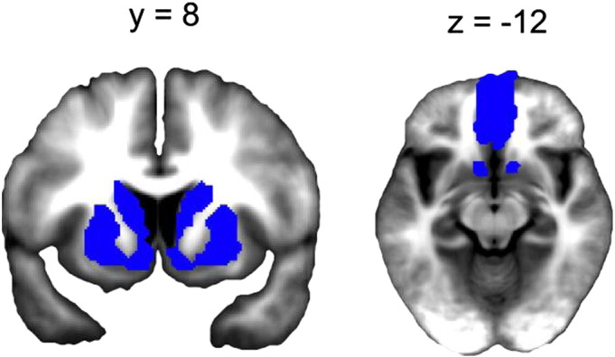 Fig. S3