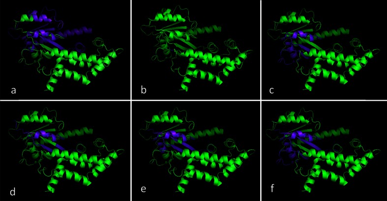 Fig. 4a–f