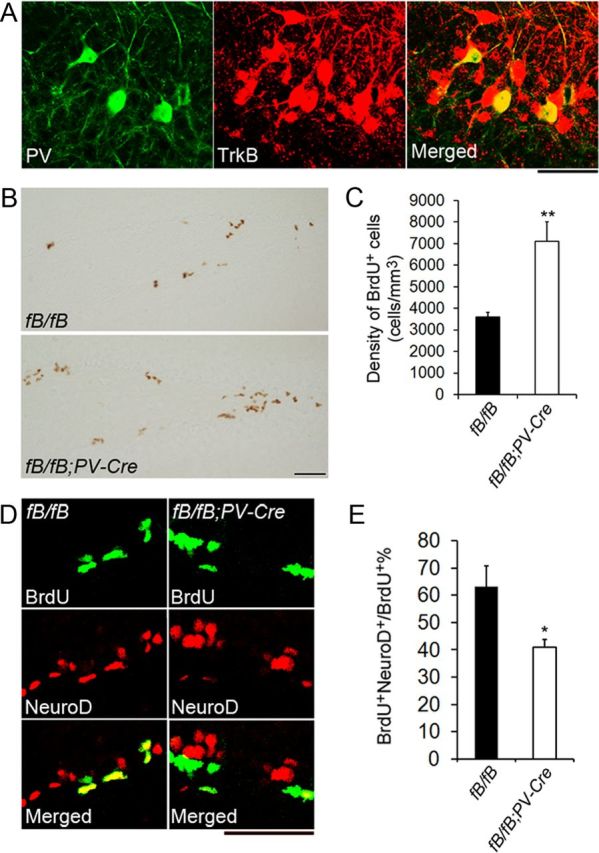 Figure 10.