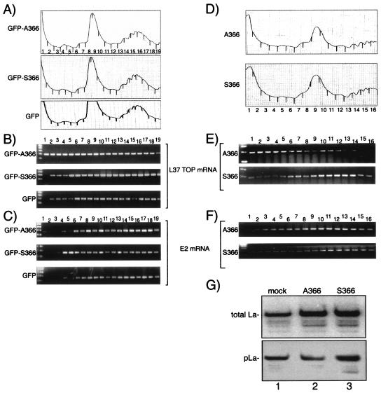 FIG. 8.