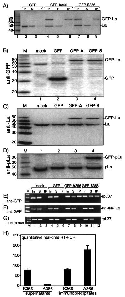 FIG.7.