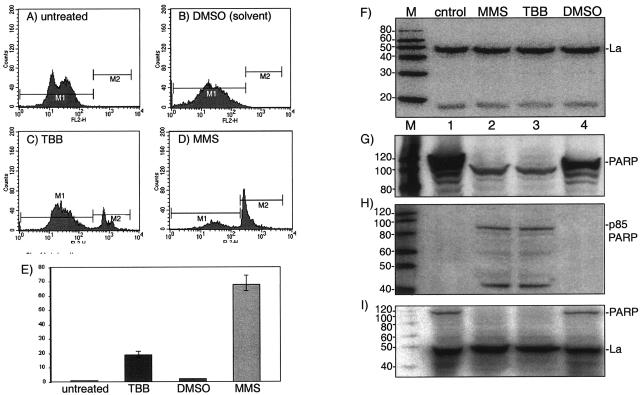 FIG. 5.