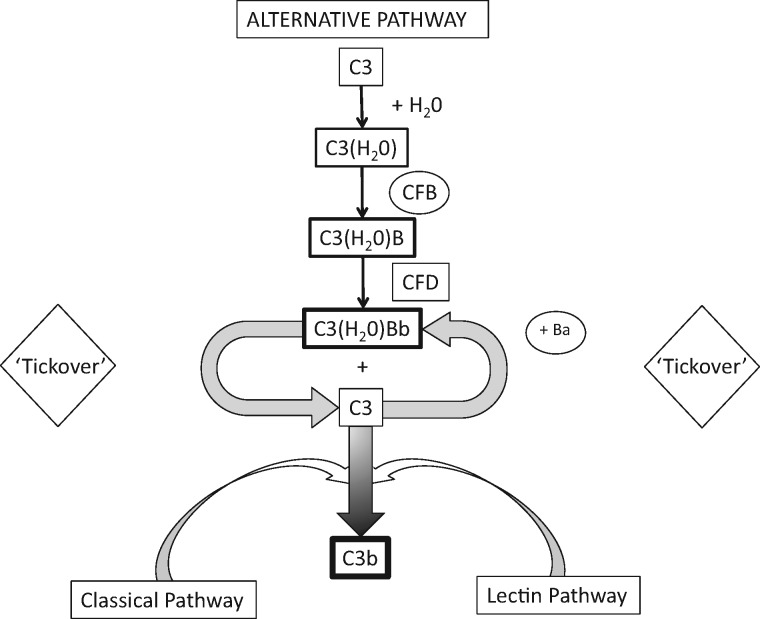 FIGURE 1