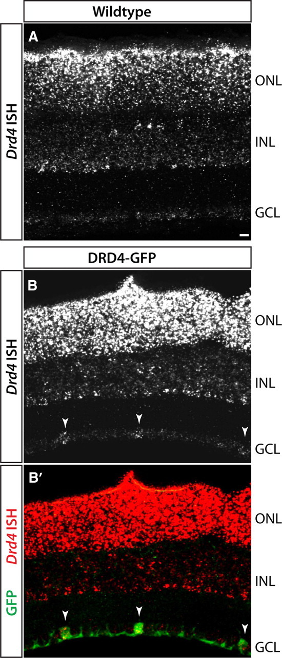 Figure 4.