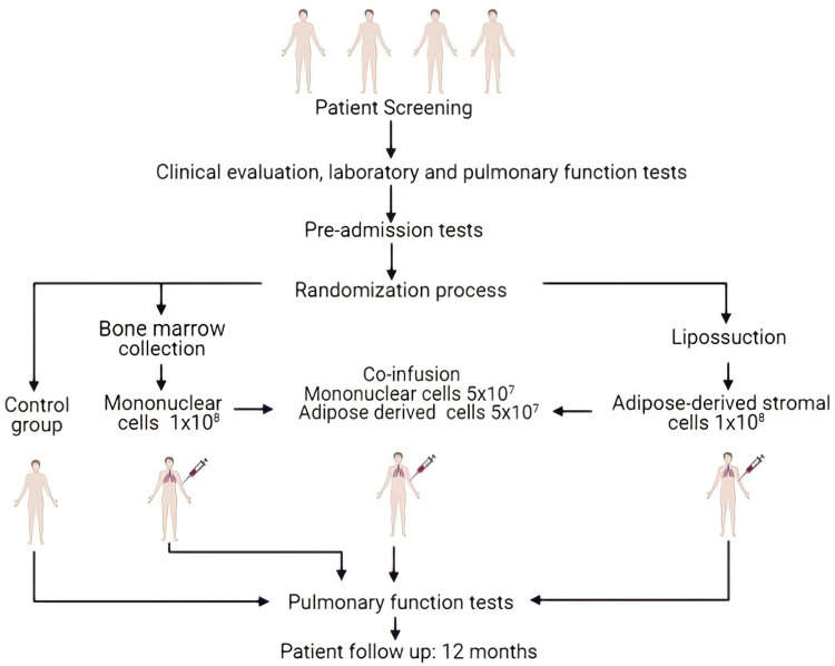 graphic file with name COPD-16-3561-g0001.jpg