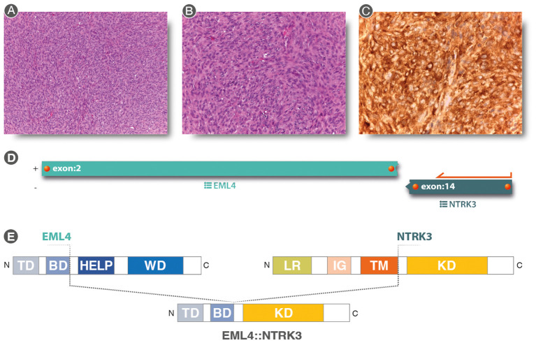 Figure 3