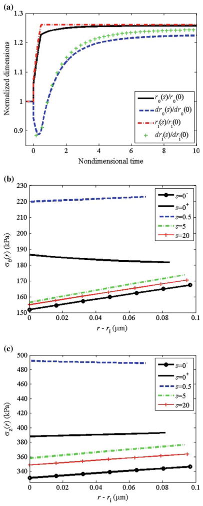 Fig. 10