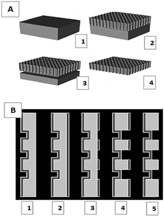 FIG. 5: