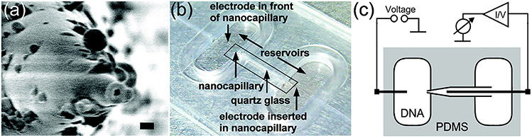 FIG. 7: