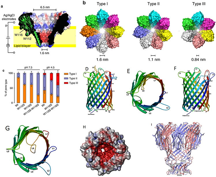 FIG. 4: