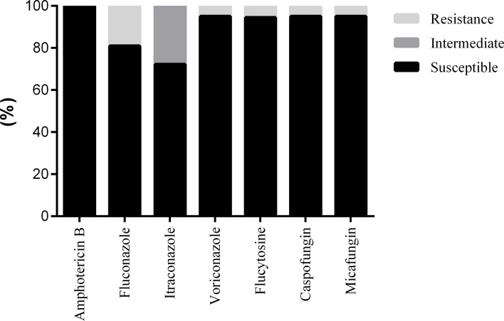 Figure 4