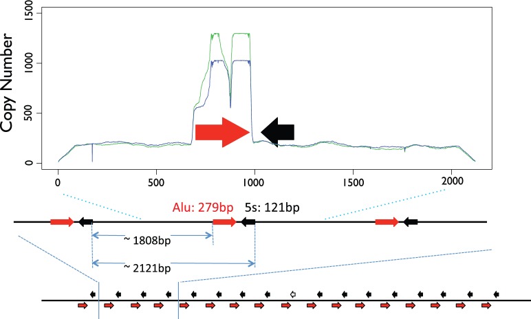 Fig. 2.—