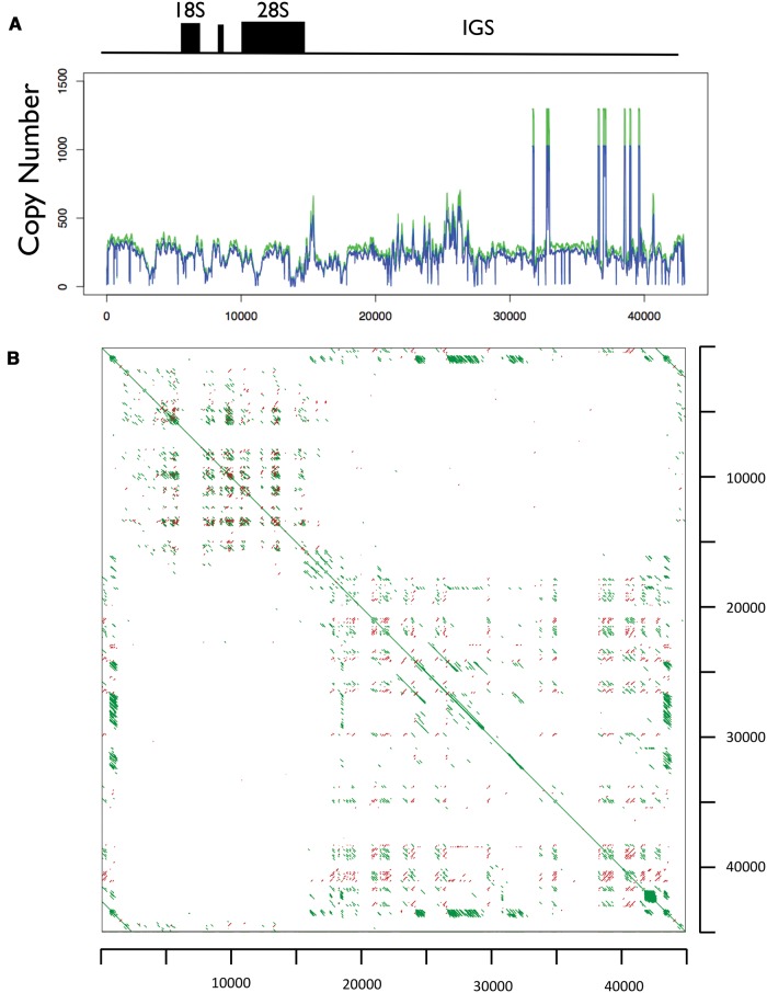 Fig. 4.—