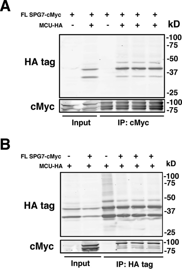 Figure 7.