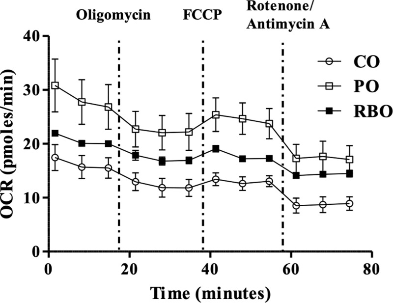 Fig 6