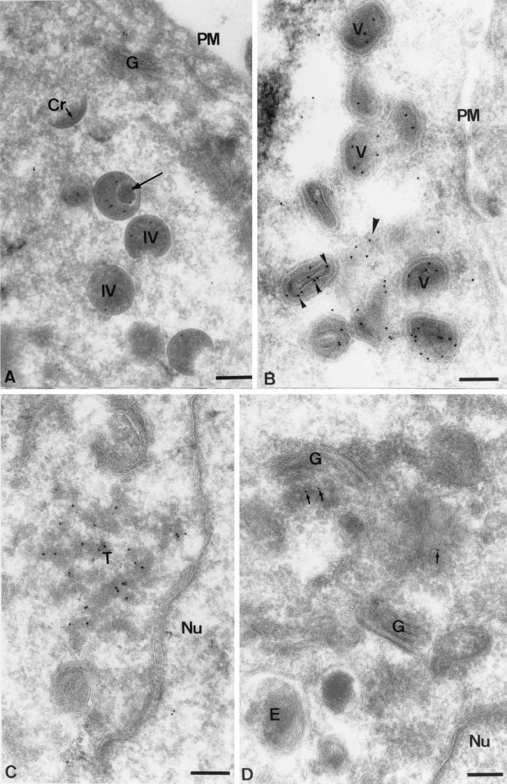 FIG. 6.