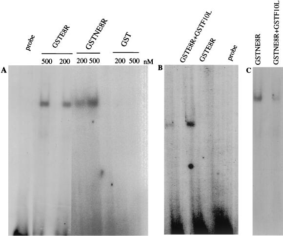 FIG. 8.