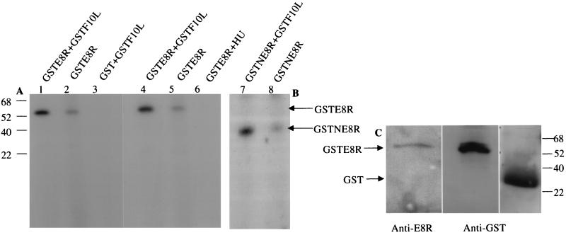 FIG. 7.