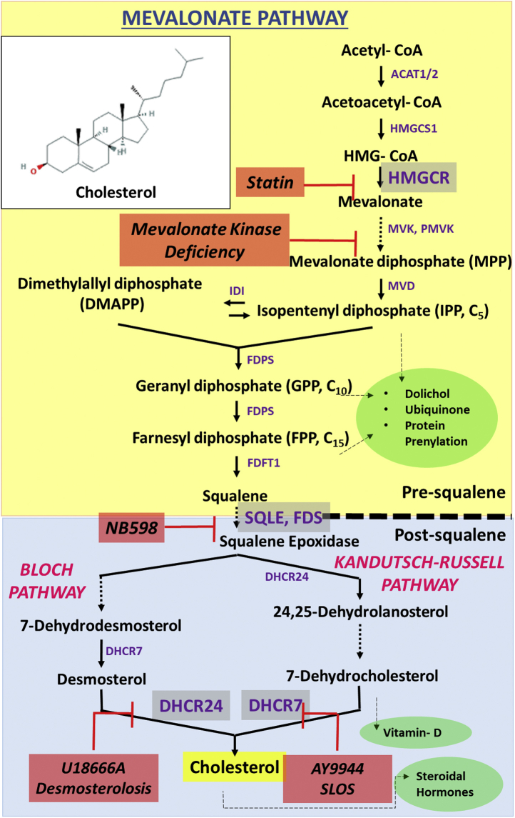 Fig. 2