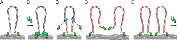 Fig. 5.