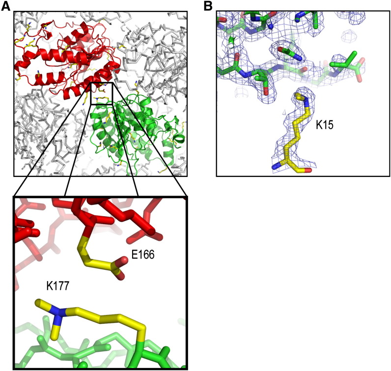 Figure 1