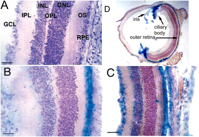 Figure 9