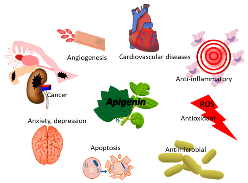 Figure 6