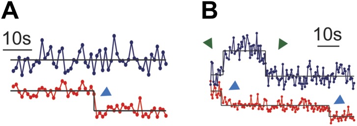 Figure 4—figure supplement 2.