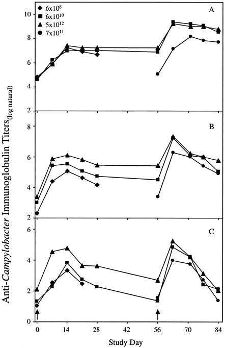 FIG. 1.