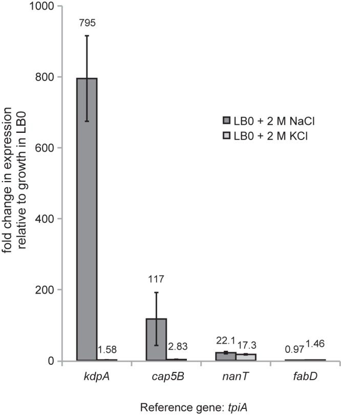 FIG 1 