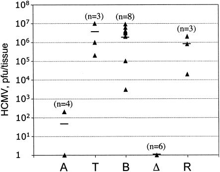 FIG. 5.