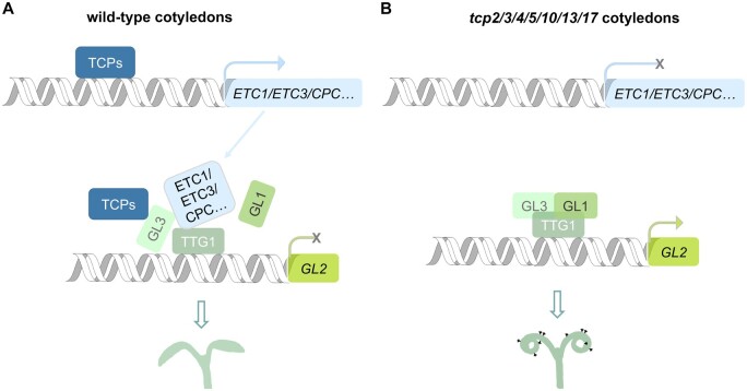 Figure 7